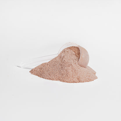 Viva Chocolate Collagen Creamer